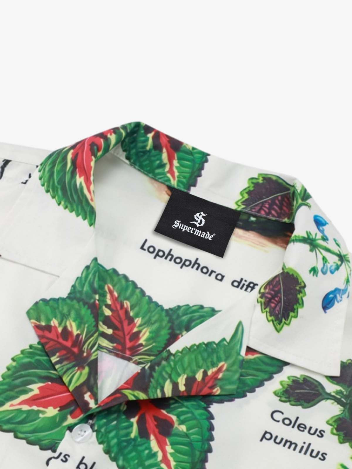 Vintage Succulent Botanical Print Camp Collar Boxy Shirt