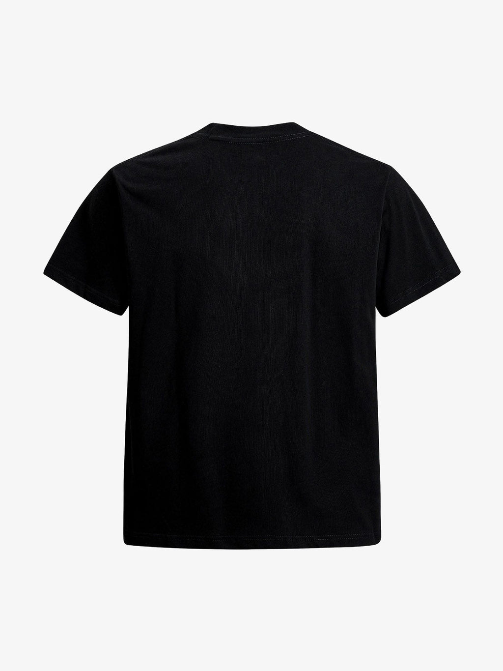 Spider Web Graphic T-Shirt