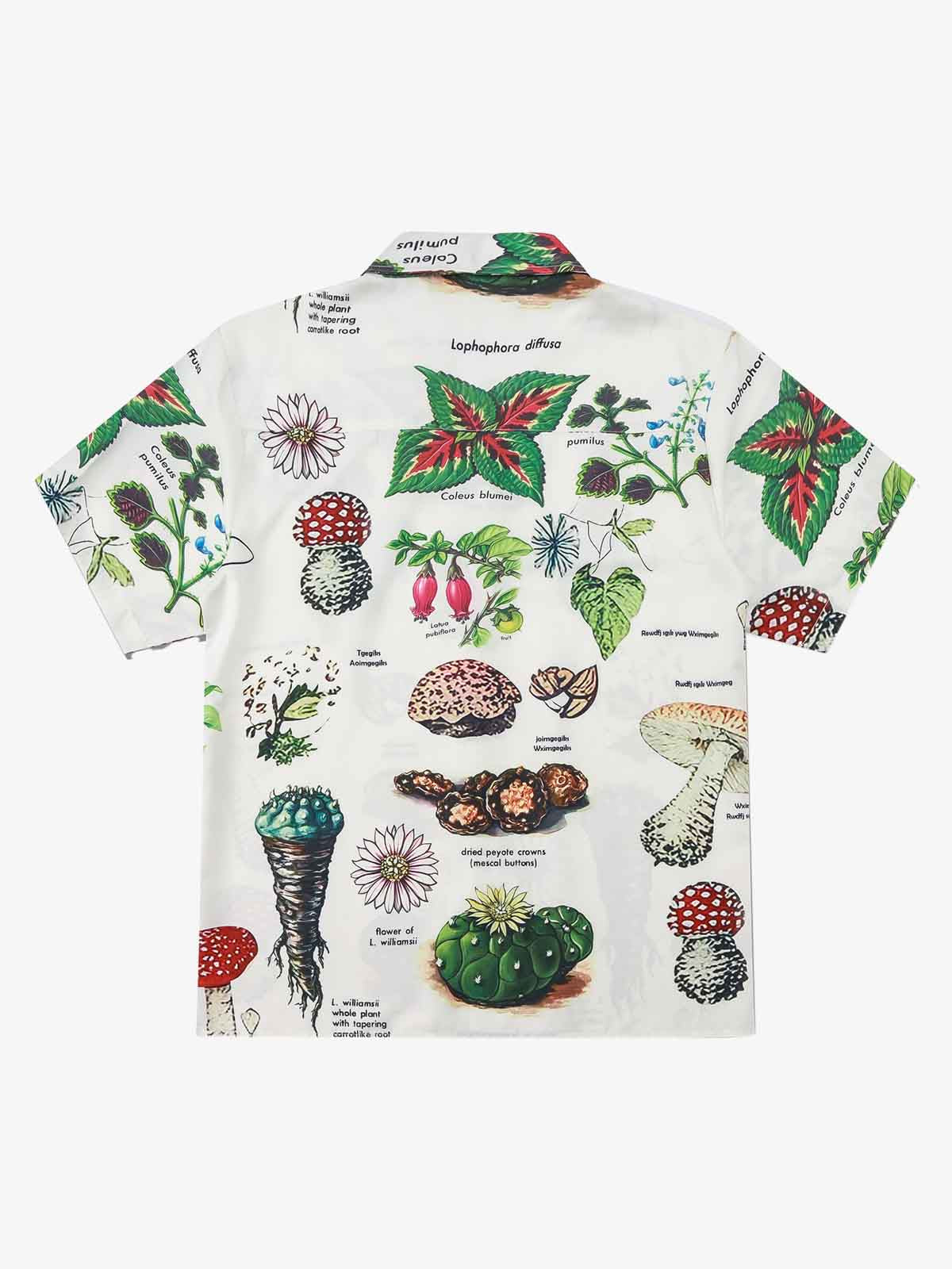 Vintage Succulent Botanical Print Camp Collar Boxy Shirt