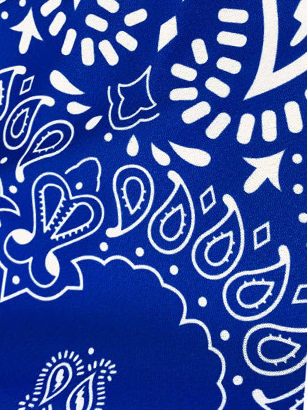 Paisley Print Soccer Shorts